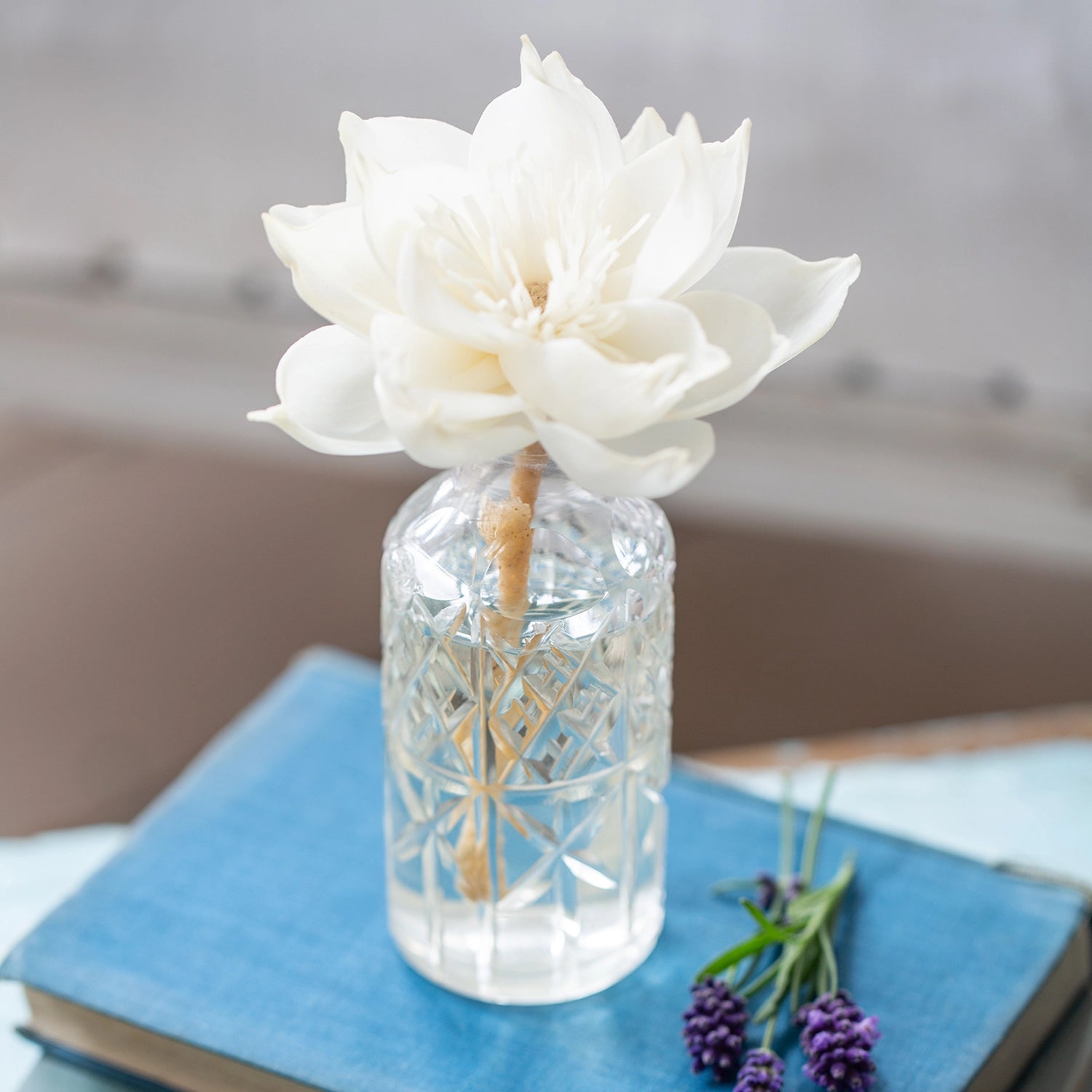 Medium Cosmos Diffuser Flower