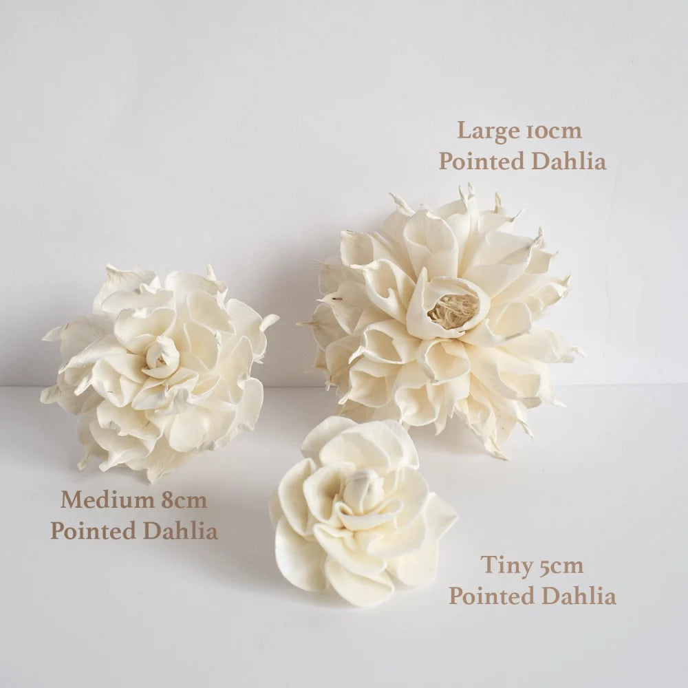 Large Dahlia Diffuser Flower