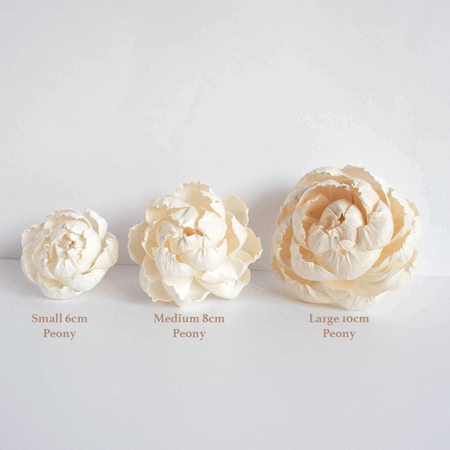 Large Peony Diffuser Flower