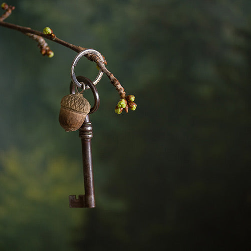 wooden acorn keyring