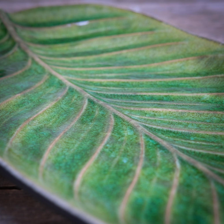 Close-up of a green leaf with detailed veins on a wooden surface