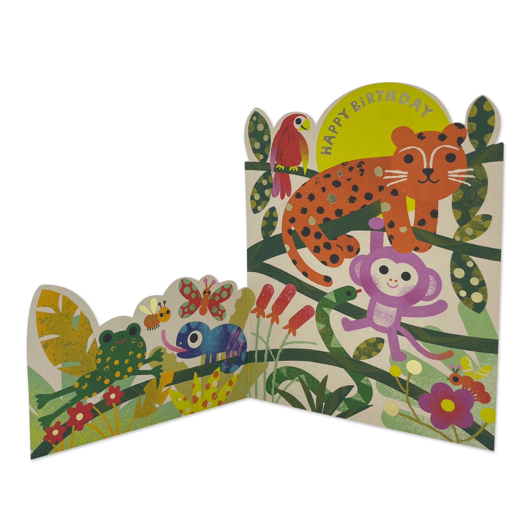 Happy Birthday - Have a Wild Day