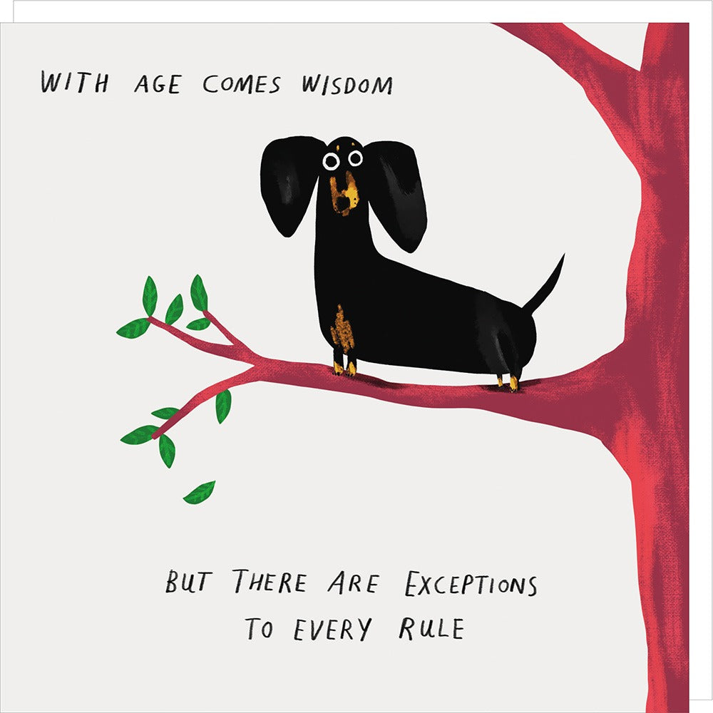 Cartoon dog in a tree with humorous quote about wisdom and exceptions.
