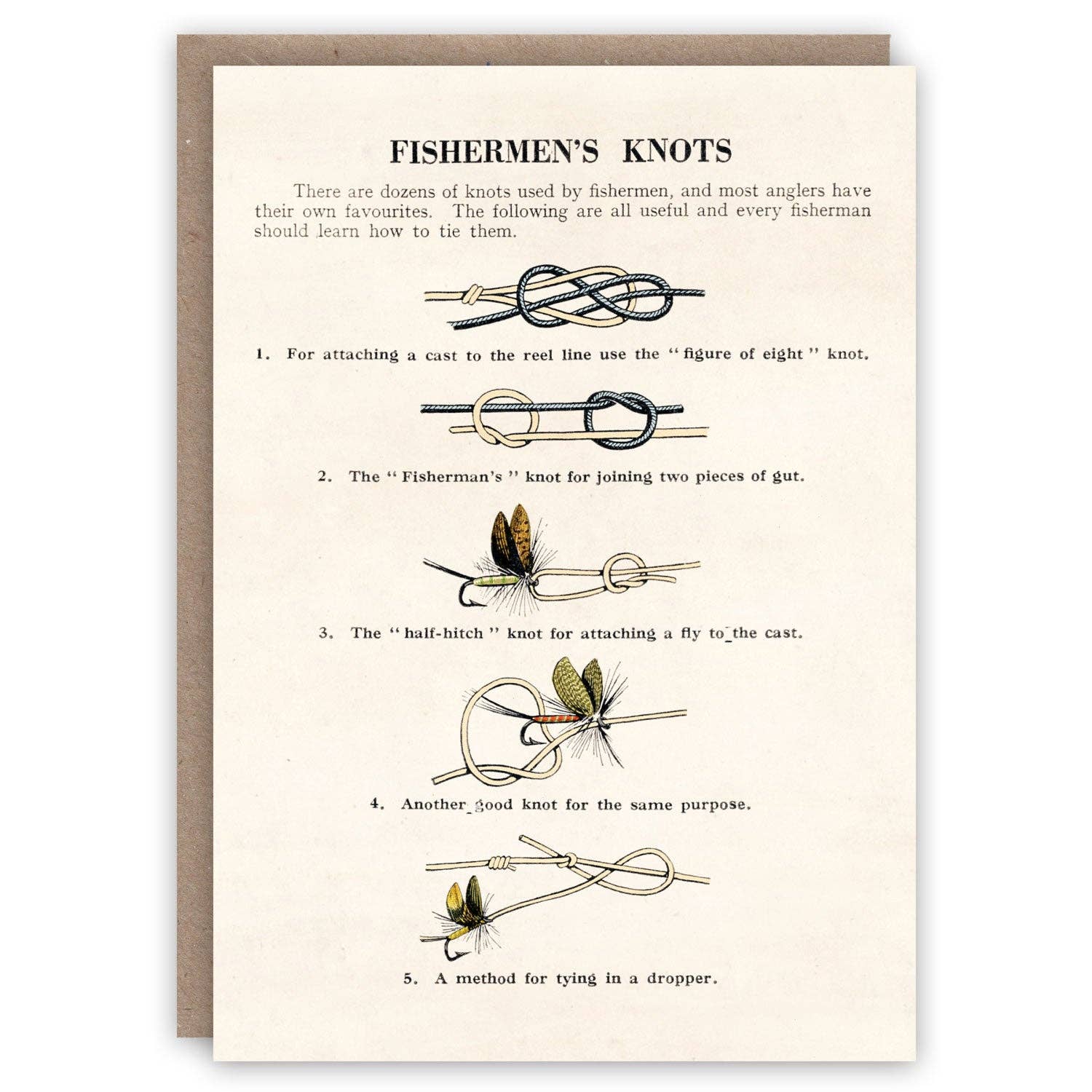 Educational card about fishermen's knots with illustrations and text on a beige background.