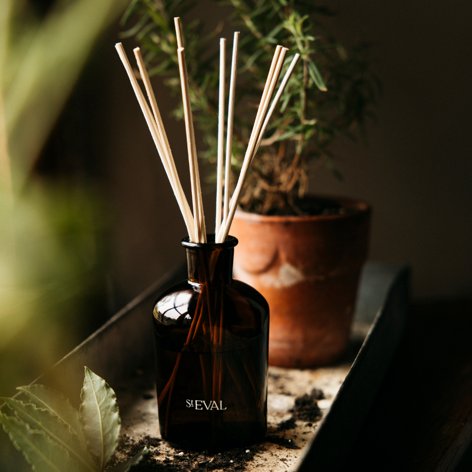 Diffuser bottle with reeds and 'St EVAL' branding on a surface with plants in the background