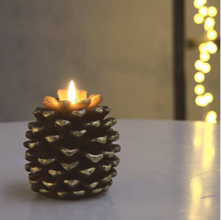 pine cone light