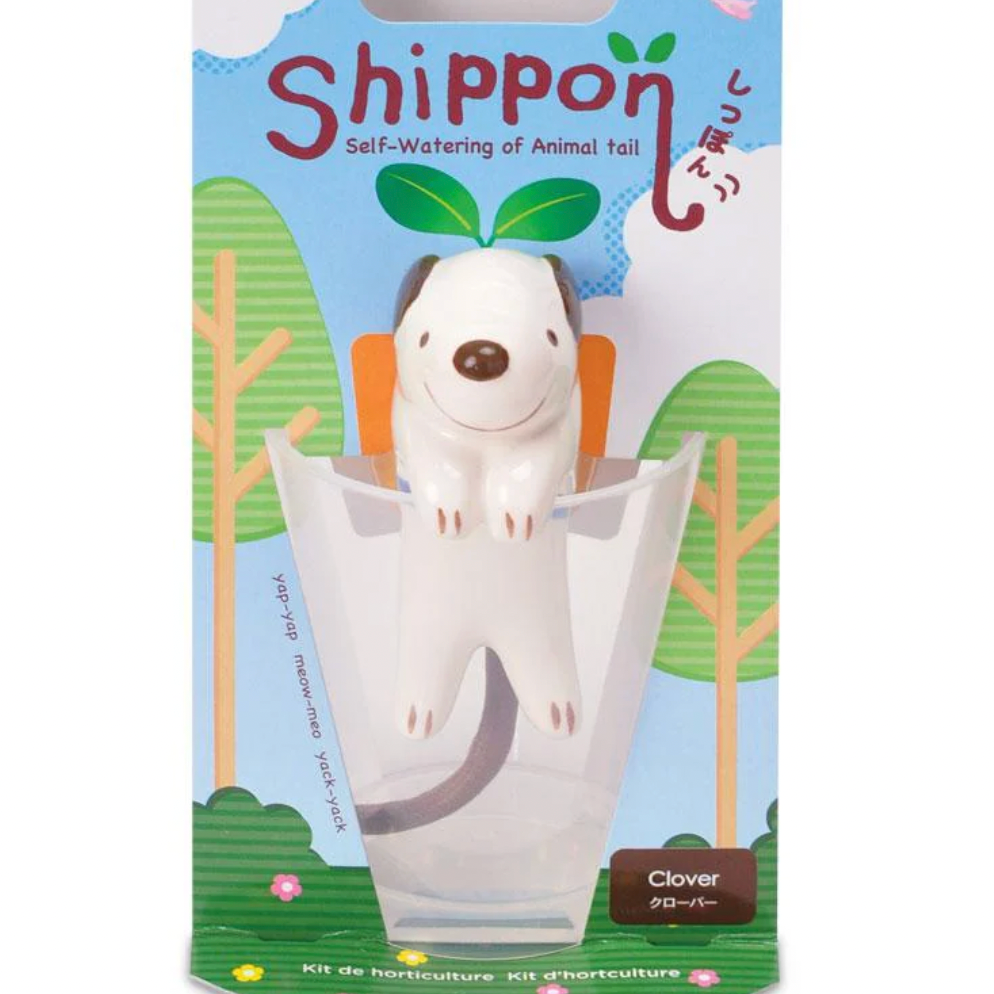 Packaging of a self-watering product with a dog design on a blue background