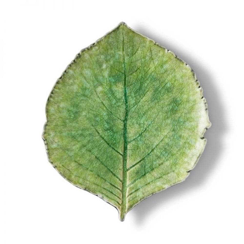 Green leaf on a white background