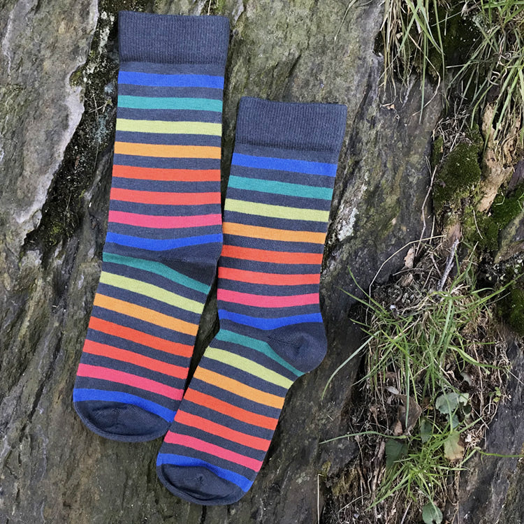 Colour Pop Striped Cotton Socks