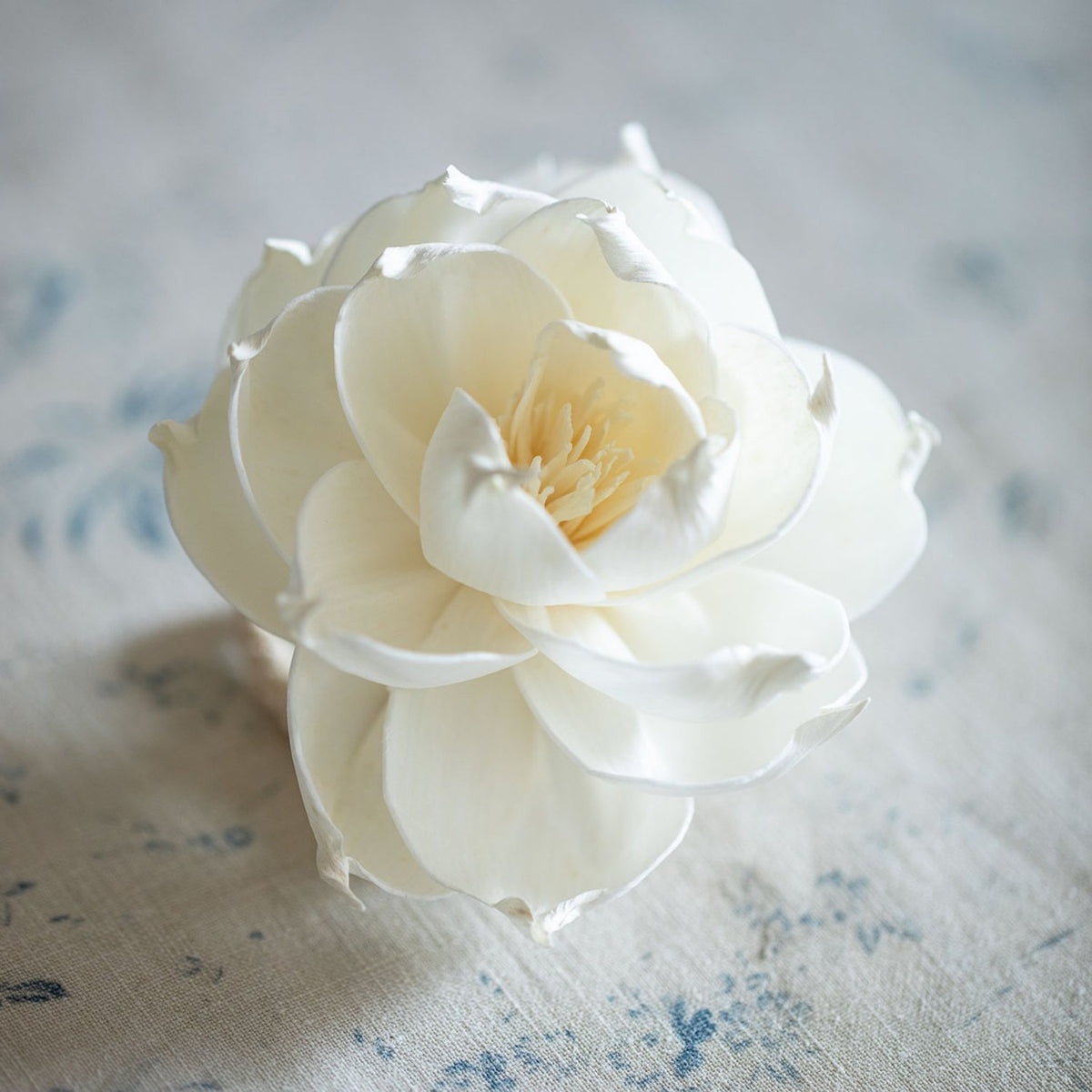 Medium Cosmos Diffuser Flower – Lime Tree Design