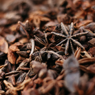 Orange & Cinnamon Alchemy Pot Candle