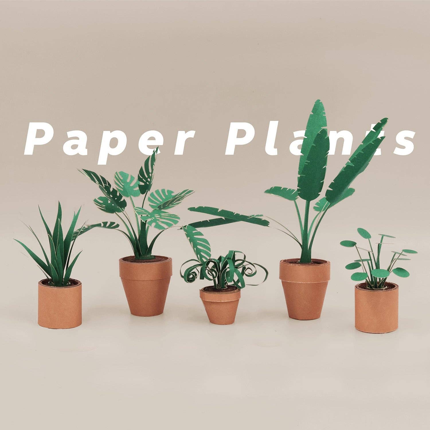 Paper plants in terracotta colour pots on a beige background with 'Paper Plants' text.