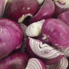 Plum and Red Onion Chutney