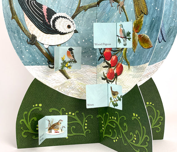 3d bird snow globe greeting card gift 
