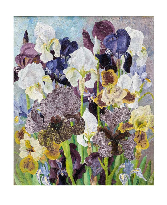May Flowering Irises, 1935 by Cedric Morris Greeting Card