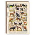 Vintage-style greeting card with illustrations of various dog breeds on a white background.