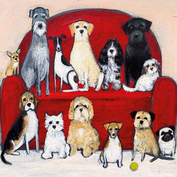 Greetings card featuring an illustration of various dogs on a red chair.