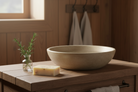 Bathroom vanity with a stone sink, soap, and plant on a wooden surface.