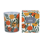 Satsuma Scented Candle