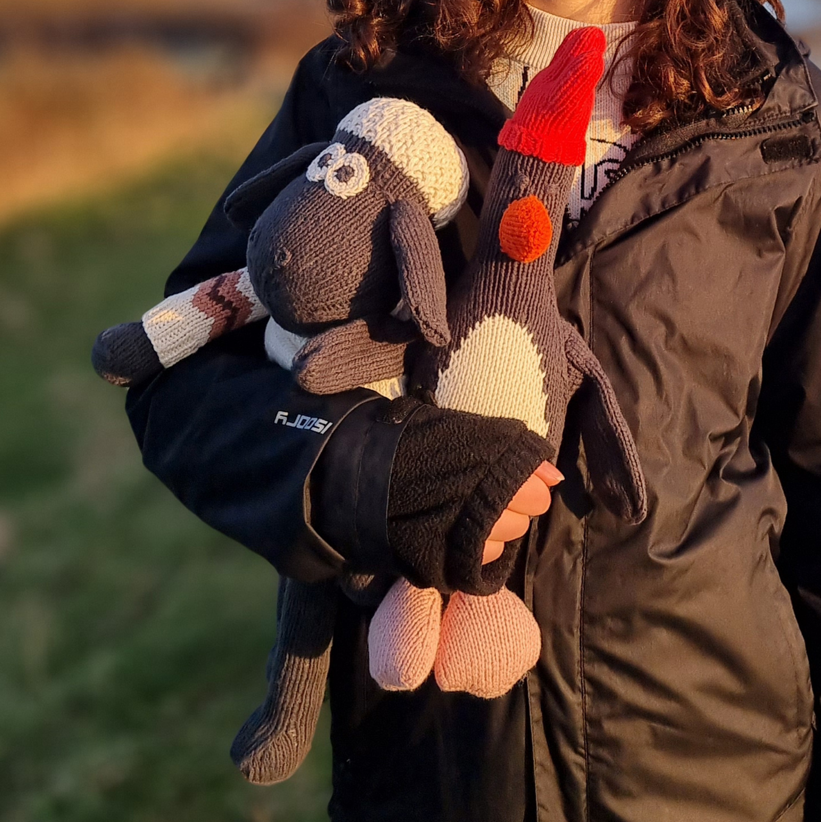 A person outdoors wearing a dark winter coat and holding a knitted sheep plush toy and a penguin plush toy with a red rooster hat.