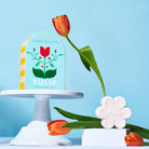 Skandi Blooms tulip product with packaging and soap on a blue background with tulip flowers 