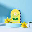 Skandi Blooms daffodil product packaging with two yellow daffodil flowers on a blue background