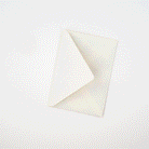 GIF showing the spring flowers card being taken out of it’s envelope