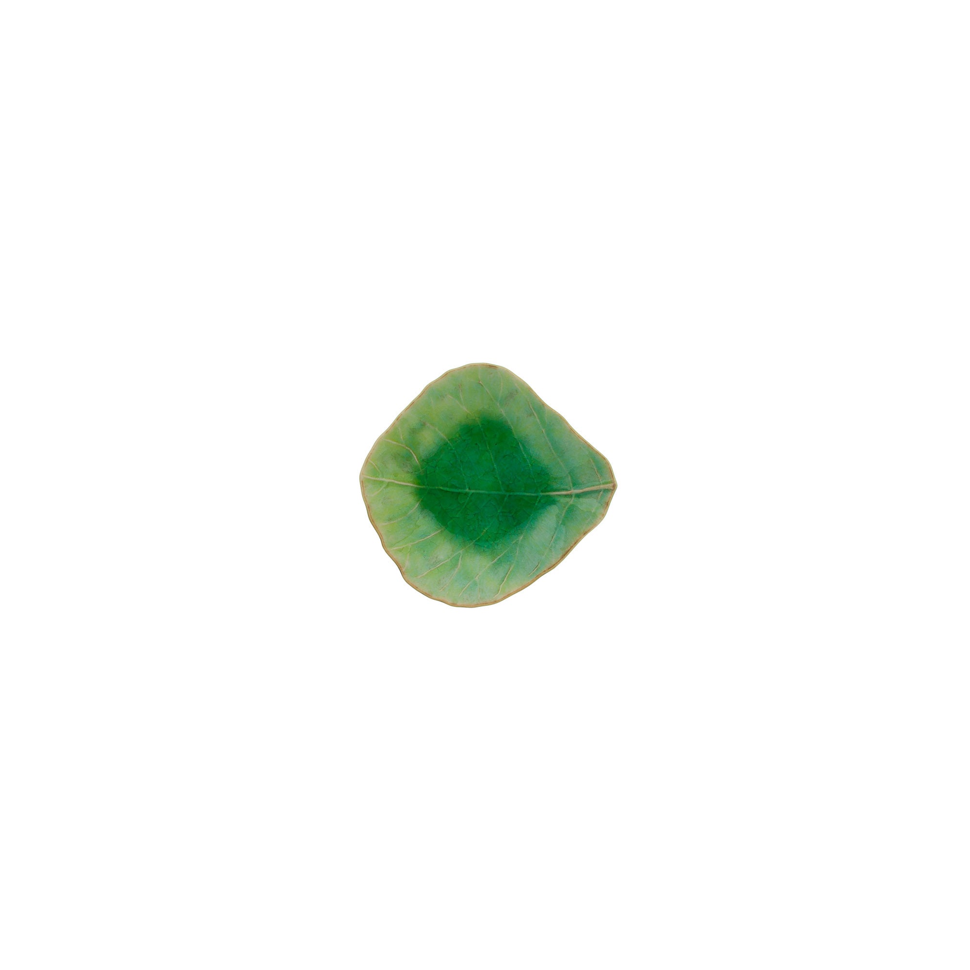 Green leaf plate  on a white background