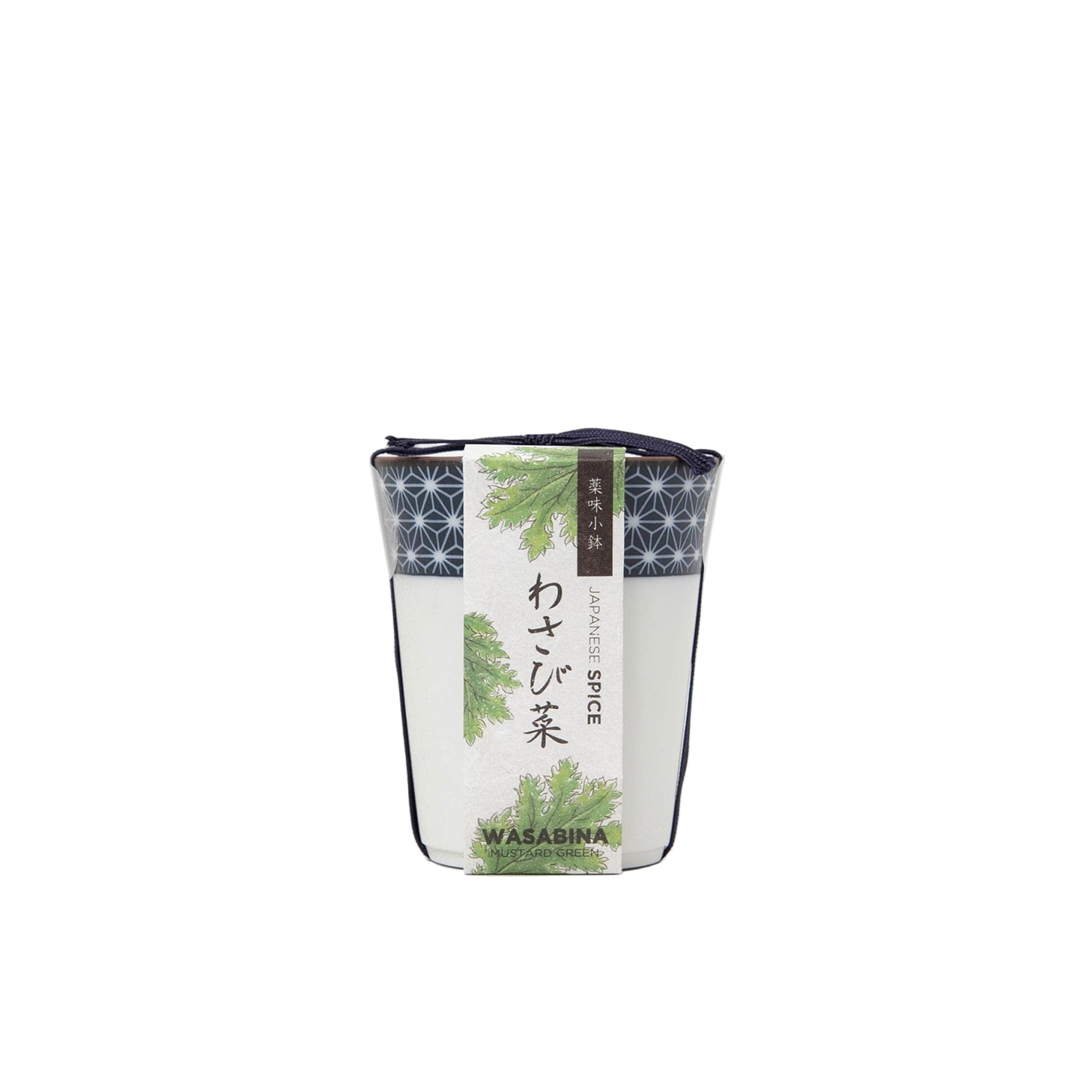 Wasabina Japanese spice packaging on a white background