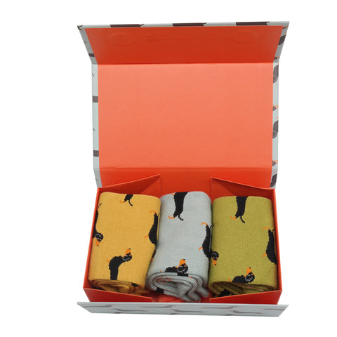 3 Pairs Bamboo Little Sausage Dogs Socks Gift Box