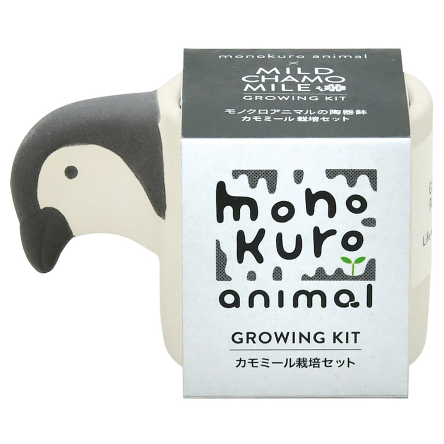 growing kit penguin shaped 