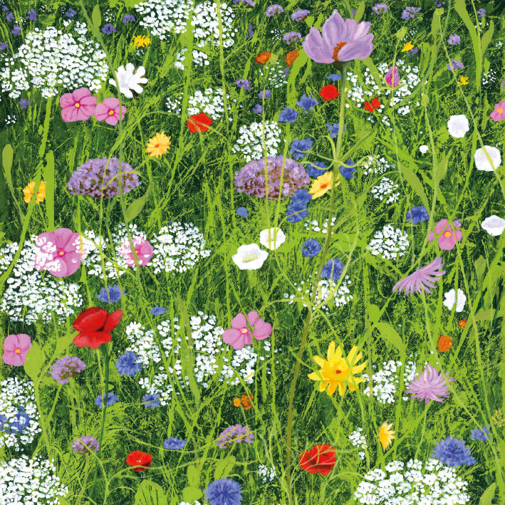 Greetings Card: Wild Garden