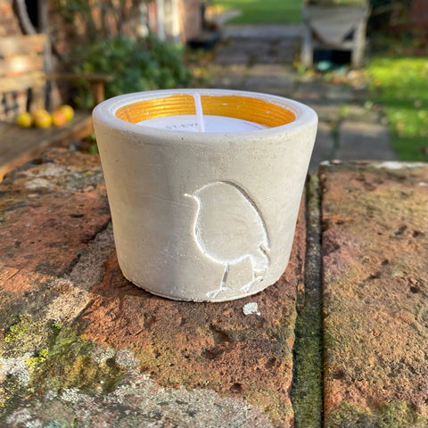 St Eval Christmas Winter Woodland Robin Candle