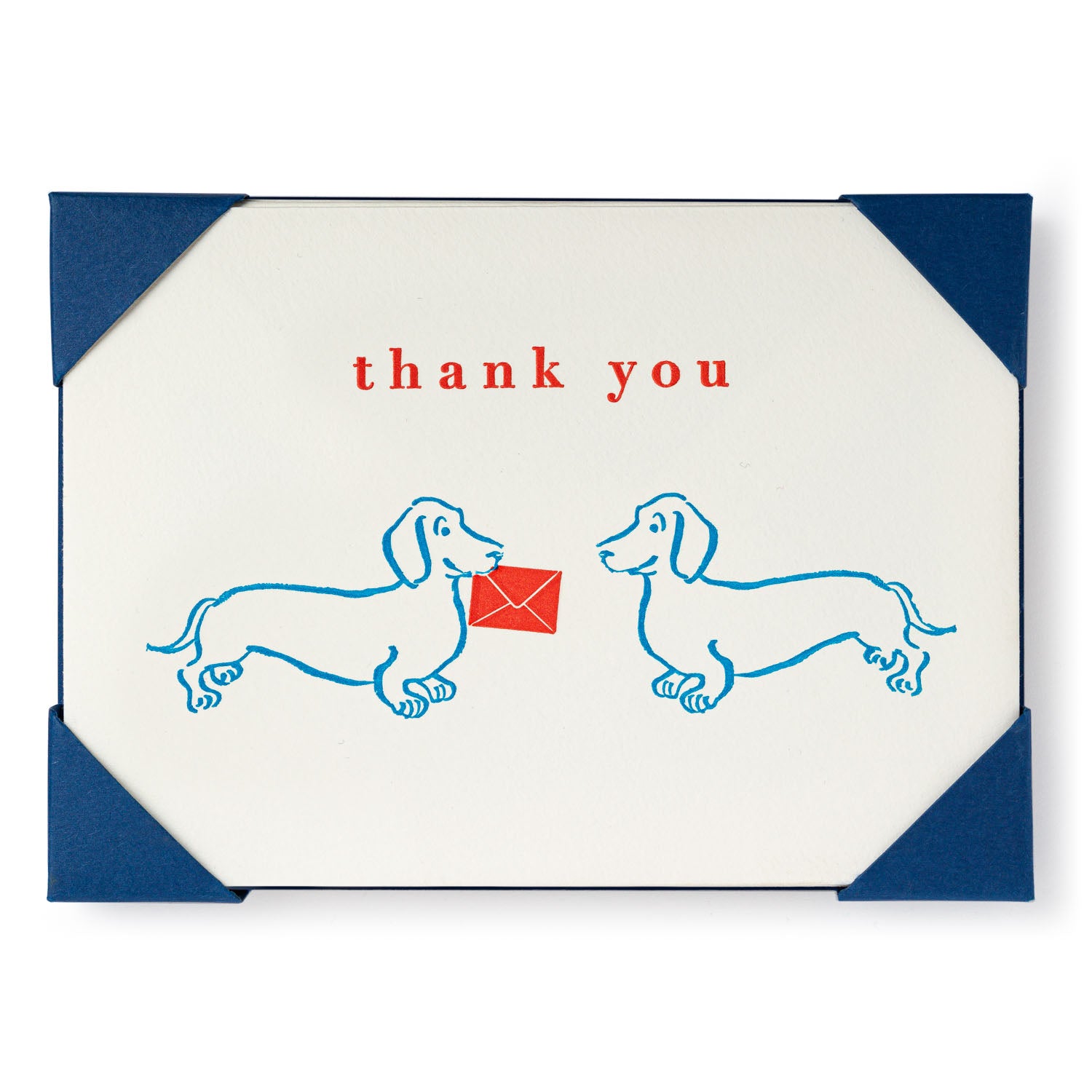 Archivist Dachsund Thank You - (pack of 5)- Thank You Cards