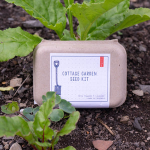 Sting in the Tail Cottage Garden Seed Kit