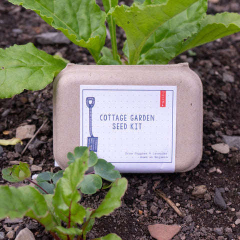 Sting in the Tail Cottage Garden Seed Kit