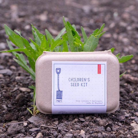 Sting in the Tail Children's Seed Kit