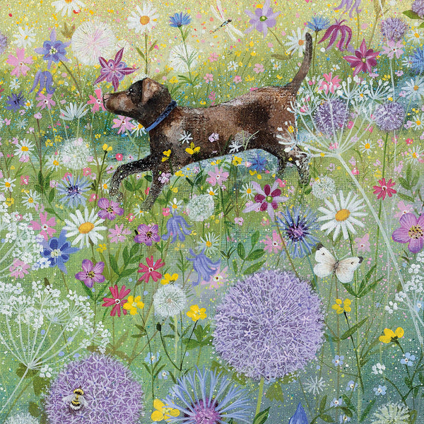Pack of 8 Notecards - In The Garden