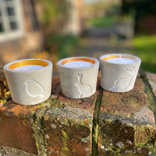St Eval Christmas Winter Woodland Robin Candle
